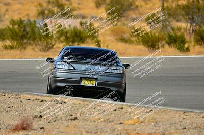 media/Oct-05-2024-Extreme Speed (Sat) [[dcd4a721fe]]/High Inter/Session 3 (Bowl)/